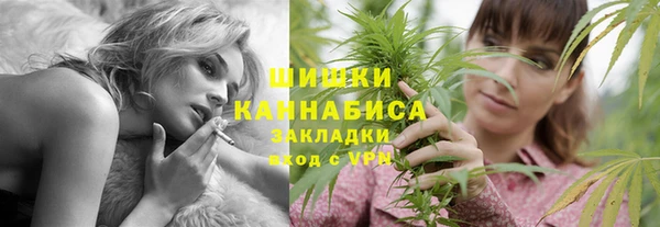гашик Ладушкин