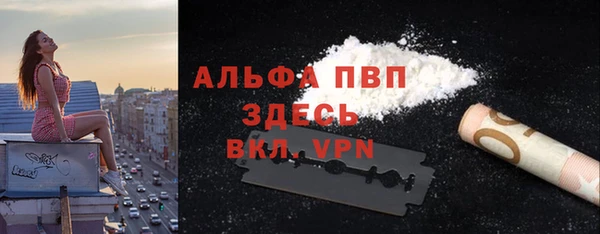 гашик Ладушкин
