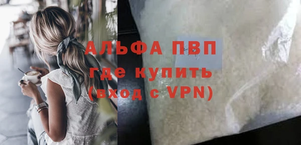 гашик Ладушкин