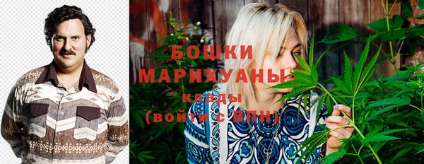 гашик Ладушкин