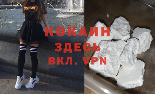 гашик Ладушкин