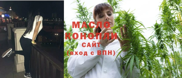 гашик Ладушкин