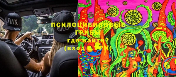 гашик Ладушкин
