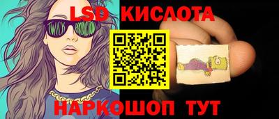крисы Кингисепп