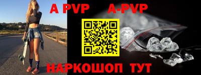 крисы Кингисепп