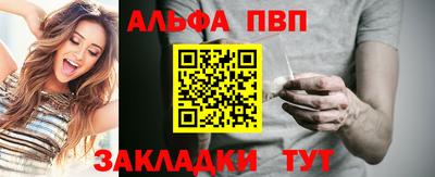 крисы Кингисепп