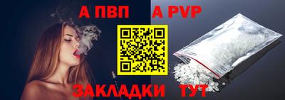 крисы Кингисепп