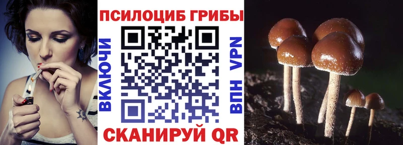 ссылка на мегу маркетплейс  Сосновый Бор  Галлюциногенные грибы прущие грибы  дарнет шоп 