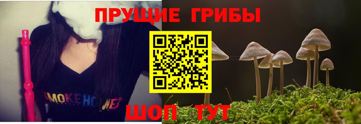 Псилоцибиновые грибы MAGIC MUSHROOMS  хочу наркоту  Сосновый Бор  Вход с VPN 
